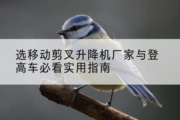 连云港电动升降机厂家-选移动剪叉升降机厂家与登高车必看实用指南