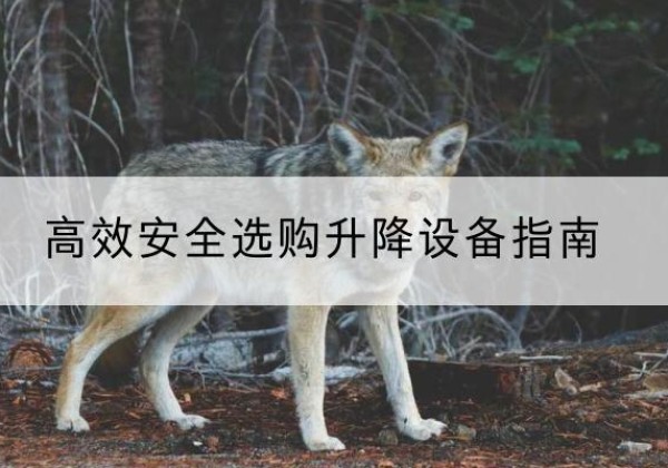 连云港升降货梯厂家推荐-*安全选购升降设备指南